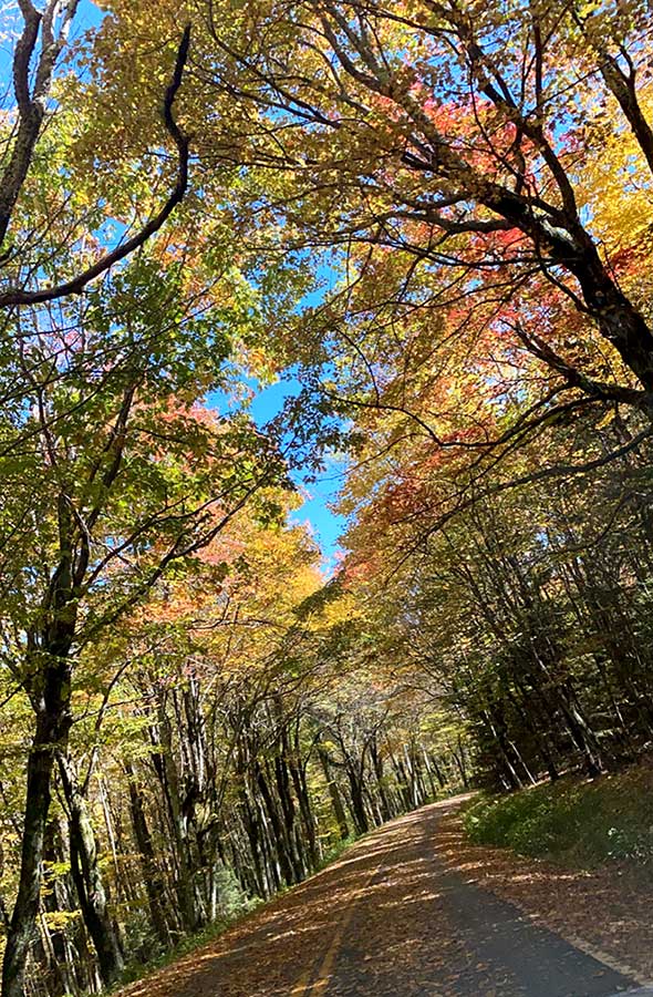 NRWCC Fall Nature Walk