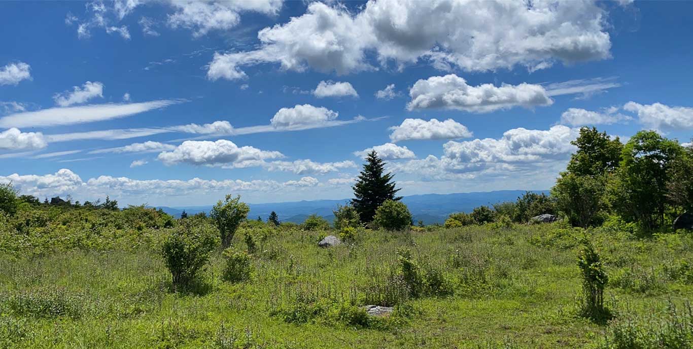 The Appalachian Trail