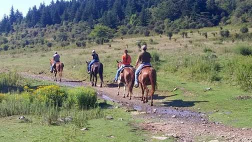 Appalachian Horseback Riding Adventures