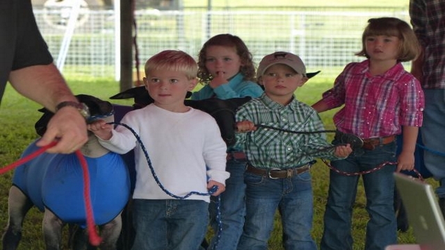 Grayson County Agricultural Fair