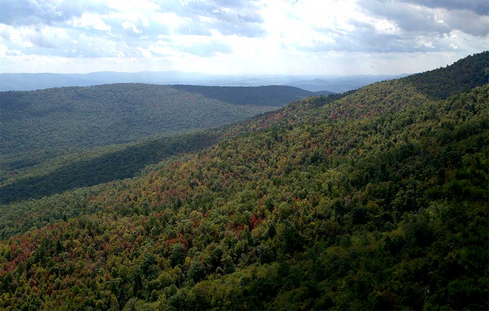 Jefferson National Forest