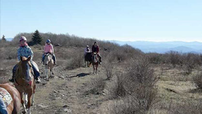 Rocky Hollow Horse Camp