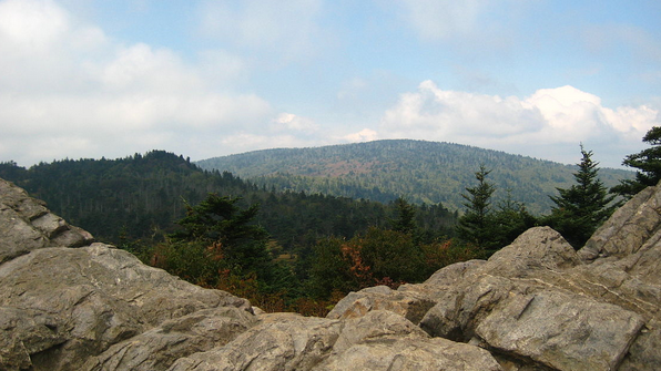 Mt. Rogers National Recreation Area