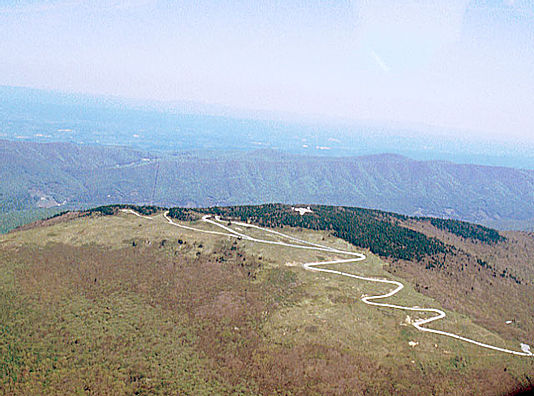 Whitetop Mountain Road